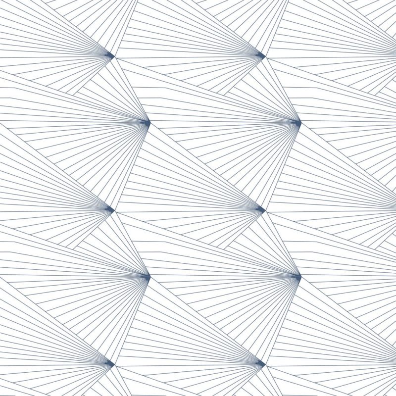 Fan navy and white wallpaper
